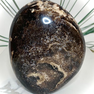 May include: A polished, oval-shaped stone with a dark brown and beige mottled pattern. The surface is glossy, reflecting light. The stone has a smooth, rounded form, and appears to be a decorative item or a natural specimen.