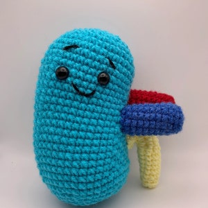 Stuffed Kidney Plushie Organs Crocheted handmade nurse gift doctor gift healthcare gift