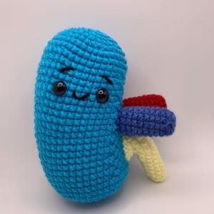 Stuffed Kidney Plushie Organs Crocheted handmade nurse gift doctor gift healthcare gift