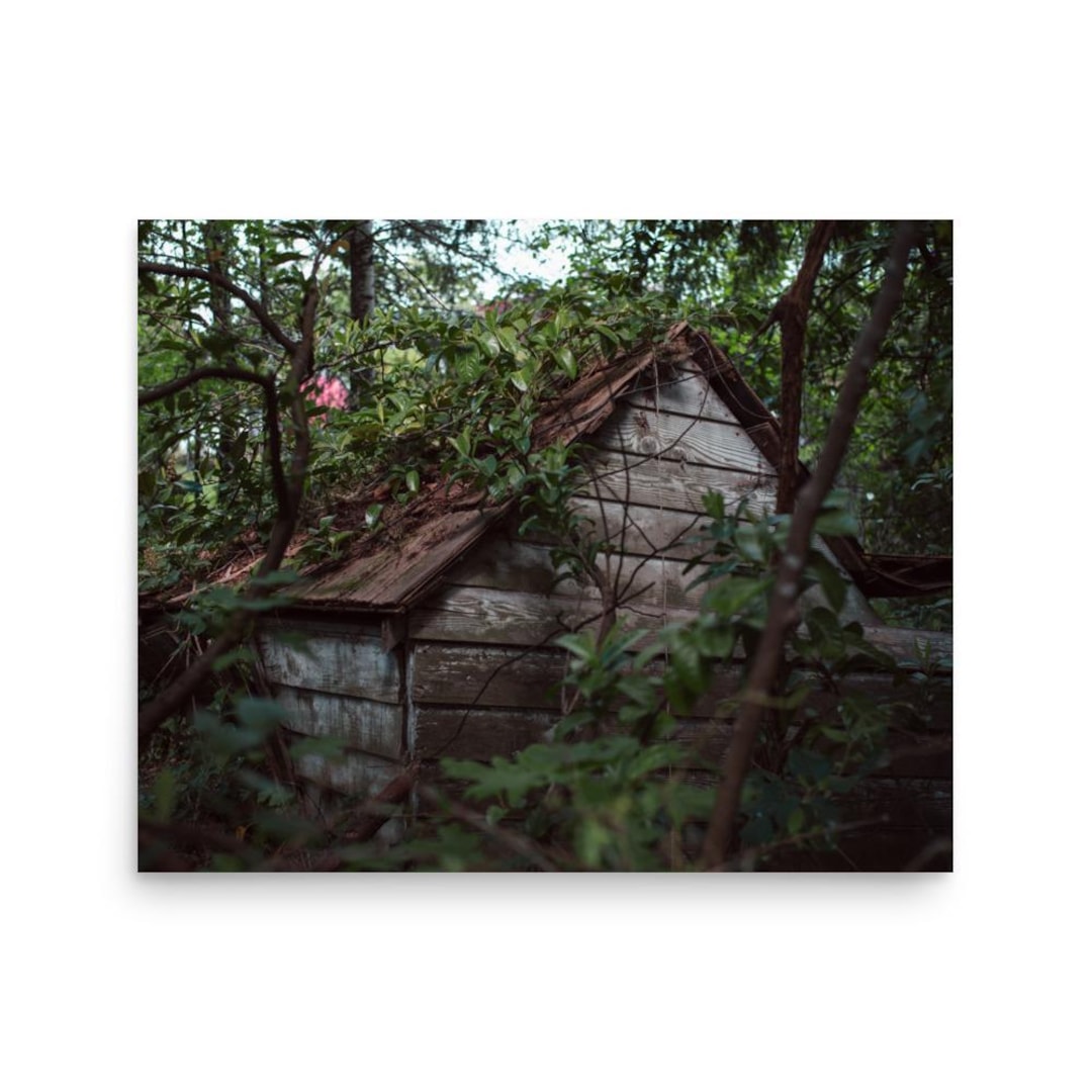 Abandoned Shack Photography Print - Rustic Wall Art - 8x10 to 16x20 ...