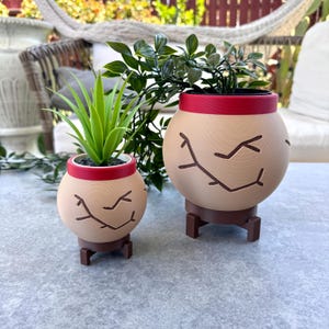 May include: Two brown ceramic planters with red rims and a stitched design. The planters are on small brown stands and are filled with green plants.