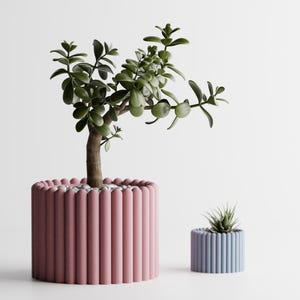 Könnte beinhalten: Zwei dekorative Pflanzgefäße, eines groß und eines klein, jeweils mit geripptem Design. Der größere Pflanztopf ist staubrosa und enthält einen kleinen Baum mit grünen Blättern. Der kleinere Pflanztopf ist blau und enthält eine kleine Sukkulente.