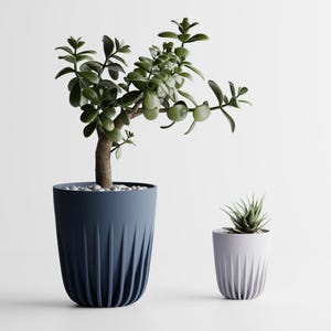 Può includere: Due piante in vaso su sfondo bianco. La pianta più grande è una pianta di giada in un vaso blu navy con scanalature verticali. La pianta più piccola è una succulenta in un vaso bianco con scanalature verticali. Le piante hanno foglie verdi.