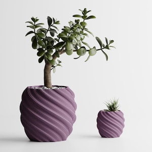 Peut inclure: Deux pots de fleurs violets à motifs en spirale, un grand et un petit, contenant chacun une plante différente. Le grand pot contient une plante de jade avec des feuilles vertes et un tronc brun. Le petit pot contient une plante succulente.