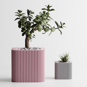以下が含まれることがあります： リブ模様のデザインが施された、大小2つのモダンなプランター。大きなプランターはダスティーローズ色で、小さな木が入っています。小さなプランターはグレーで、多肉植物が入っています。
