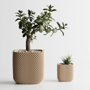 May include: Two decorative planters with plants. The larger planter holds a jade plant with dark green leaves and a brown trunk. The smaller planter contains a succulent. Both planters are beige with a diamond pattern.