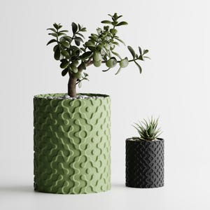 Puede incluir: Dos macetas decorativas con plantas. Una maceta grande, verde claro, con un patrón de ondas texturizadas contiene un árbol pequeño. Una maceta más pequeña, negra, con un patrón similar contiene una suculenta. Ambas están sobre un fondo blanco.