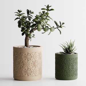 Puede incluir: Dos macetas decorativas con patrones florales detallados. La maceta más grande es beige y contiene una planta de jade. La maceta más pequeña es verde y contiene una suculenta. Ambas macetas son cilíndricas.