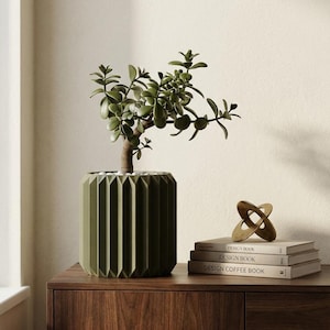 Può includere: Un vaso verde geometrico contiene una piccola pianta frondosa. Il vaso è su un mobile in legno scuro, accanto a una pila di libri e una scultura astratta color oro. I libri sono intitolati "Design Book" e "Design Coffee Book".