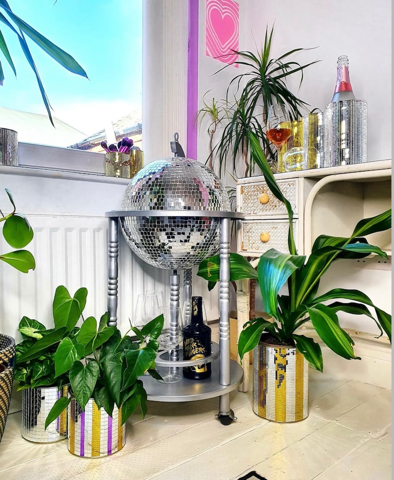 May include: A mirrored disco ball on a silver stand, with various potted plants in decorative containers. A bottle of beer and a bottle of champagne are also visible. The room is decorated with a pink heart print.
