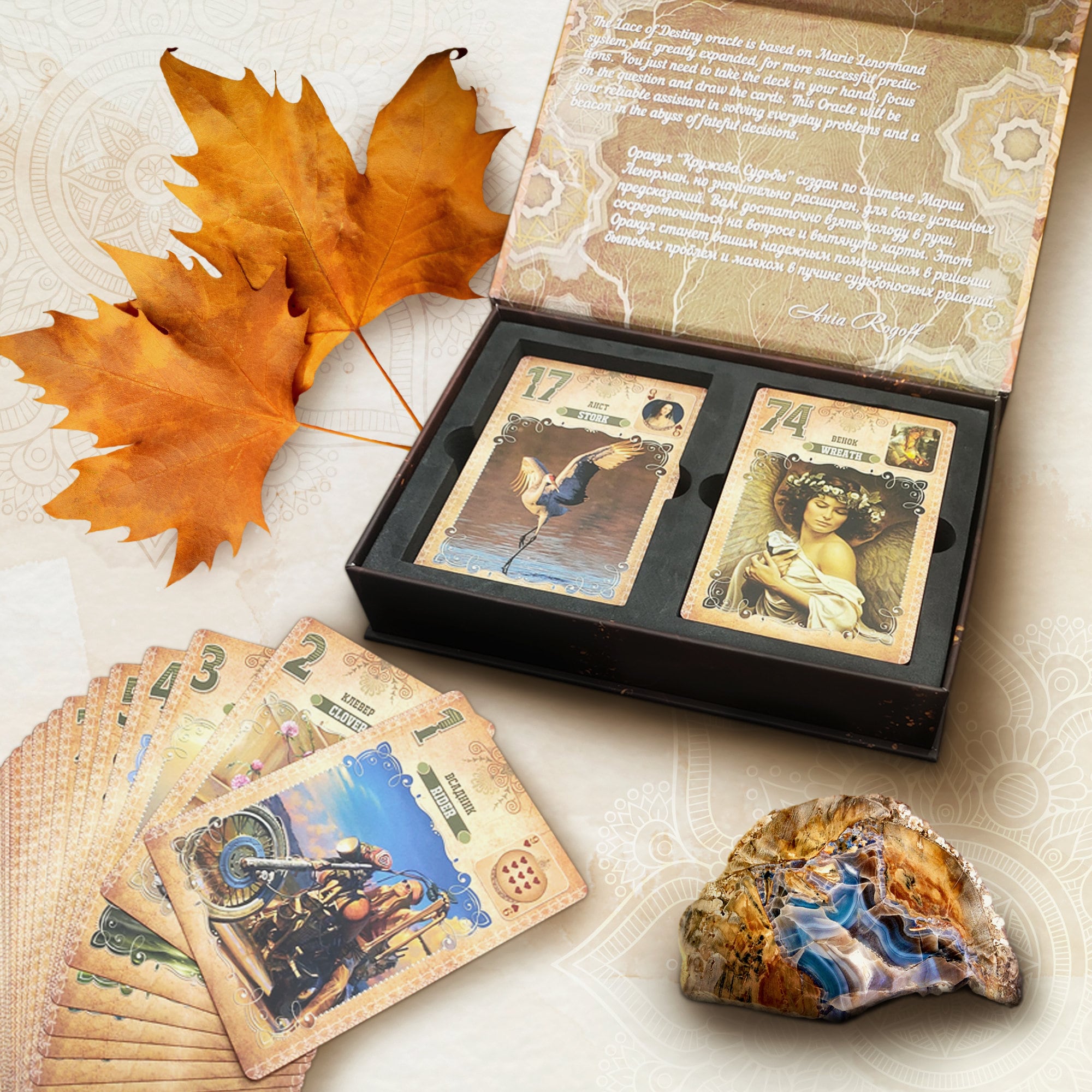 Memento Mori Oracle Deck - Etsy Memento Mori Oracle Deck - Etsy
