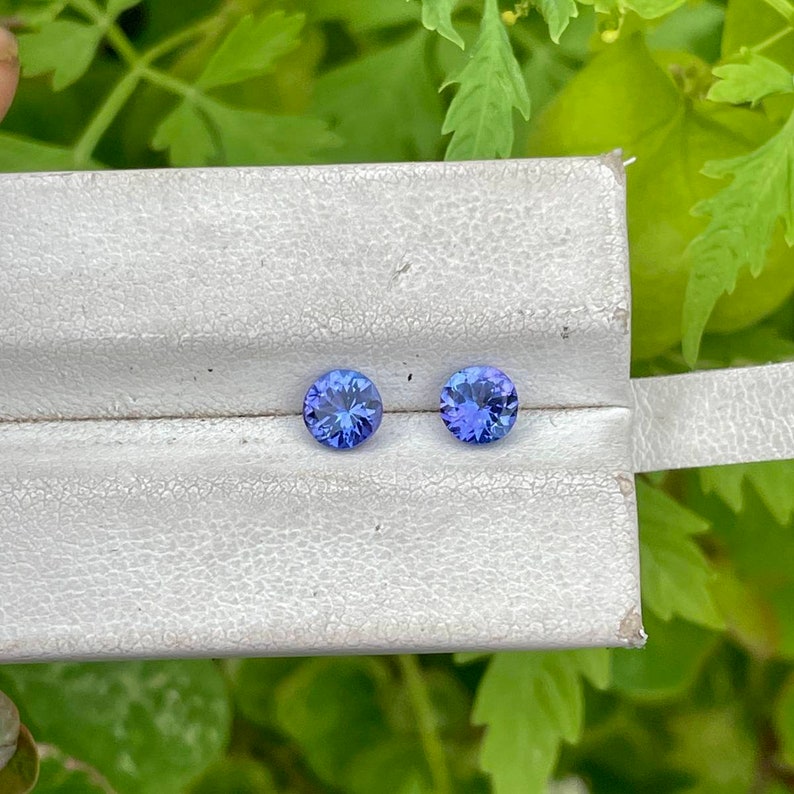 Puede incluir: Dos gemas azules redondas y facetadas se muestran en una caja de joyer&iacute;a blanca. Las gemas tienen un color azul profundo y vibrante con facetas internas visibles. El fondo es una vista borrosa de follaje verde.