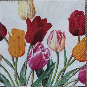 Decoupage Lunch Napkins / Tulips