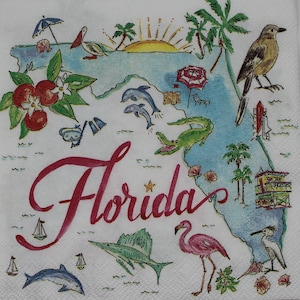 Decoupage Cocktail Napkins / State of Florida