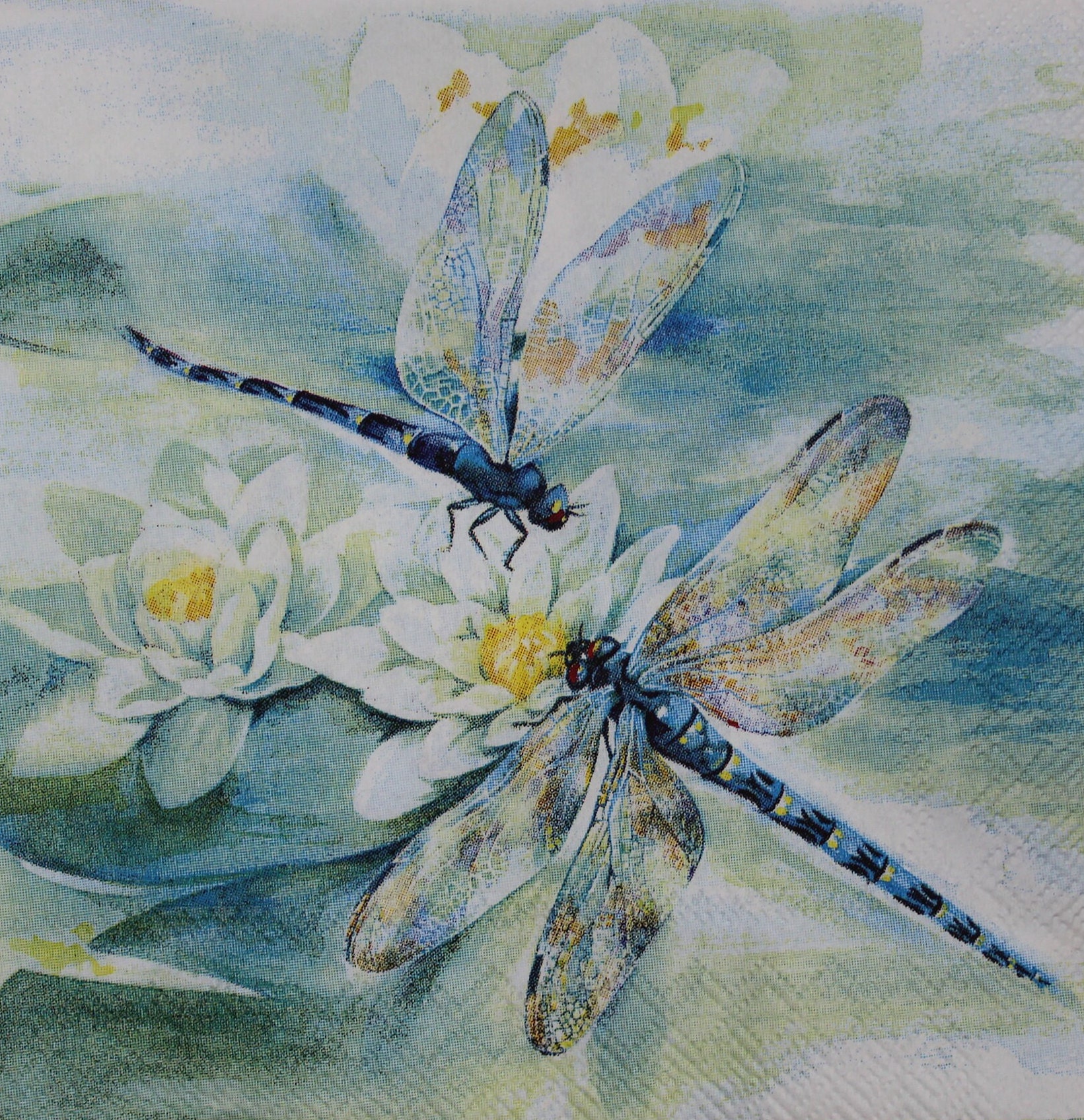 Decoupage Cocktail Napkins / Dragonfly