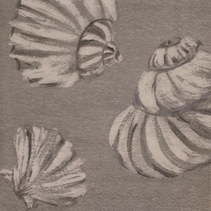May include: A monochromatic illustration featuring three distinct seashells rendered in shades of white and gray against a textured gray background. The artwork displays two spiral-shaped shells and one fan-shaped shell with visible ridges and shadows.