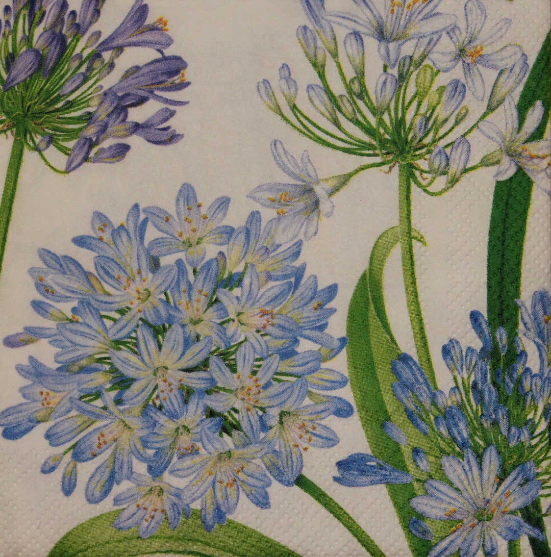 Decoupage Cocktail Napkins / Agapanthus Garden Etsy