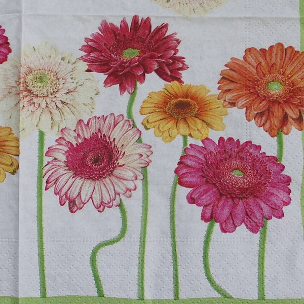 Gerbera Daisy Etsy