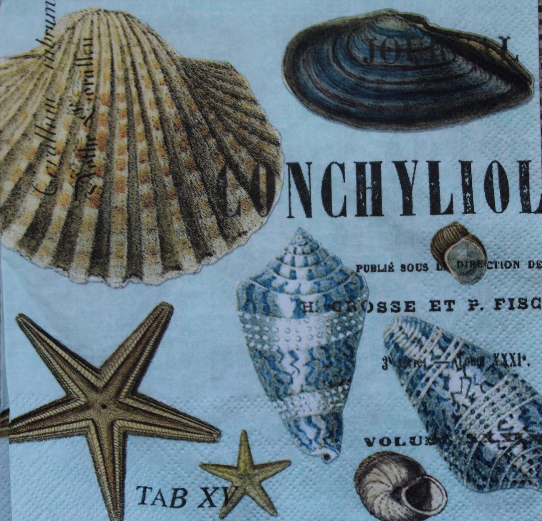 Decoupage Napkins / Seashells Etsy
