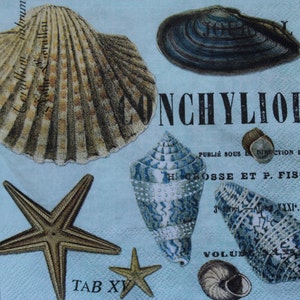 Decoupage Lunch Napkins / Seashells