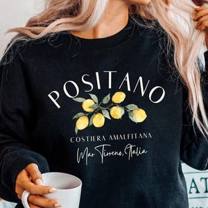 Positano Amalfi Coast  Italy Sweatshirt , Amalfi Coast Italy Sweatshirt , Positano Sweatshirt, Southern Italy Unisex Heavy Blend Crewneck