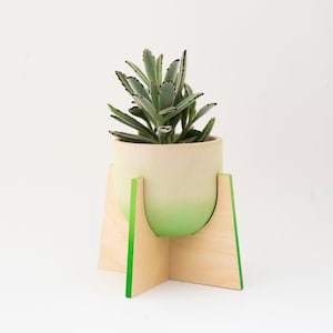 Op de afbeelding: Een lichtgroene en witte ombre keramische plantenpot met een vetplant erin, die op een houten standaard met groene rand staat.