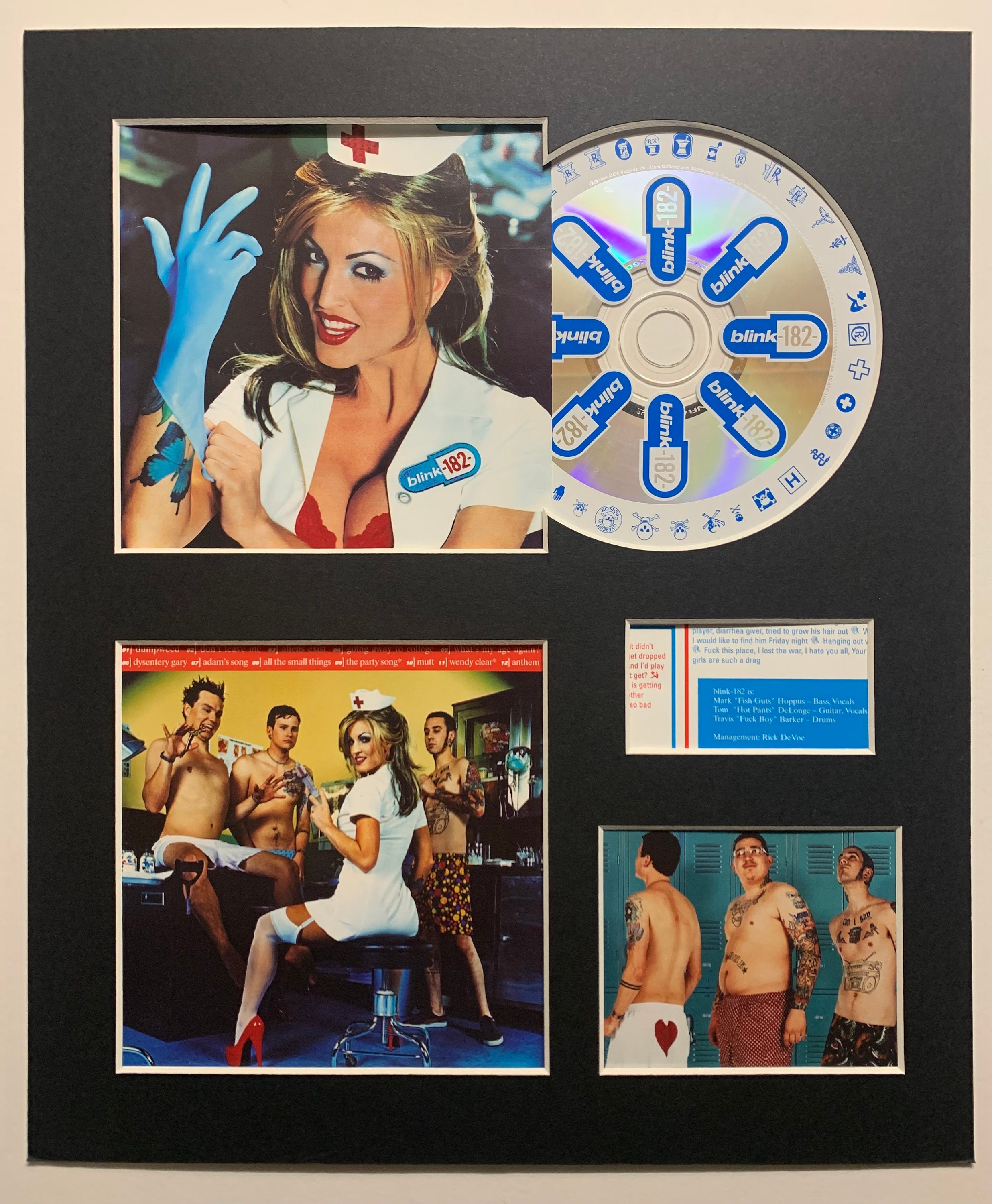 BLINK 182 Enema of the Album Display With - Etsy Finland