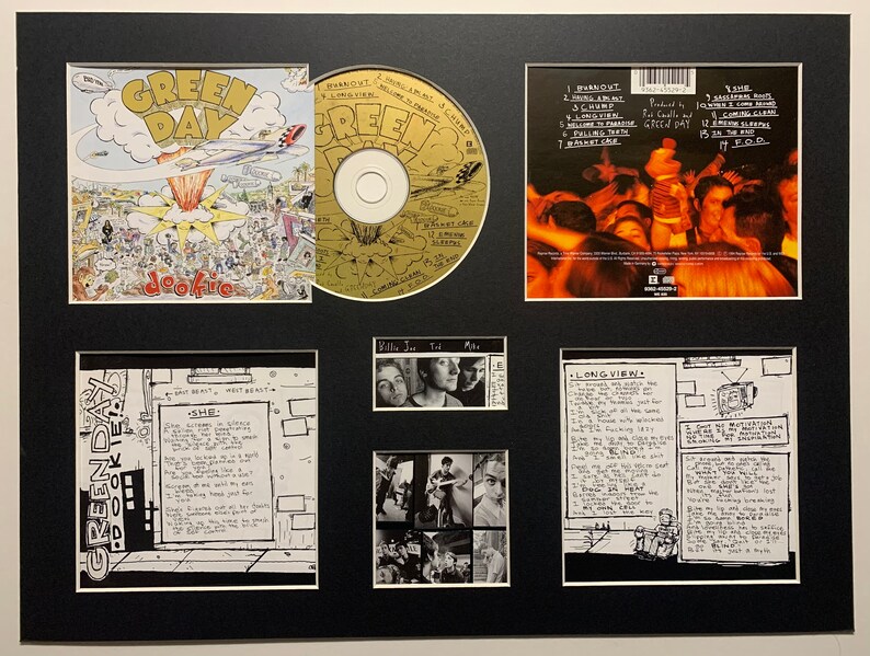 GREEN DAY Dookie Album Display Deluxe With Authentic Cd Etsy