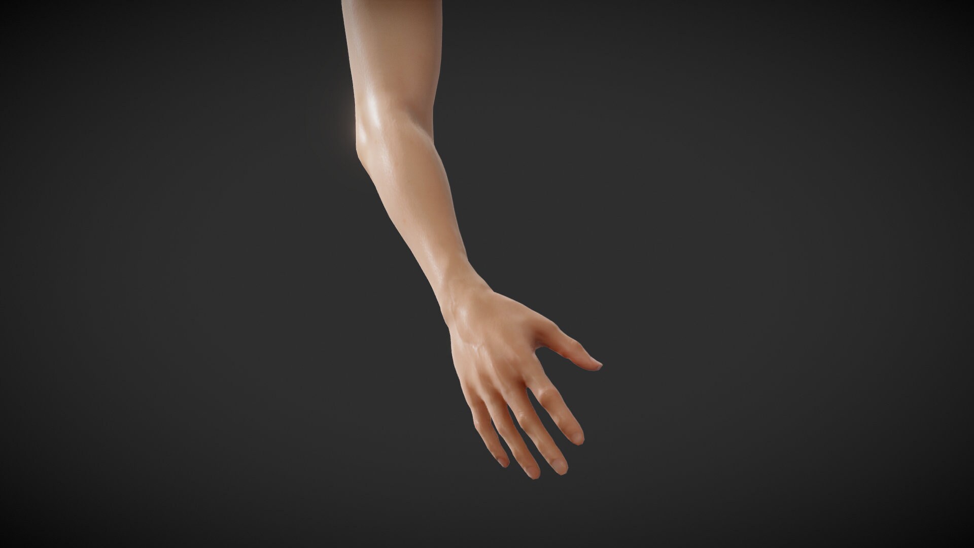 Procreate 3D Models Female Arm and Hand Perfect for Tattoo Art 3D Arm Elbow Hand Fingers Etsy