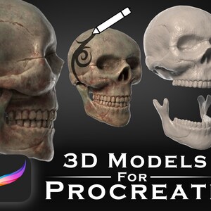 May include: Three 3D models of a human skull for use in the Procreate app. The skull is shown in different views, including a side view, a front view, and a view of the jawbone. The skull is a realistic representation of a human skull, with detailed features such as teeth, eye sockets, and nasal cavity.