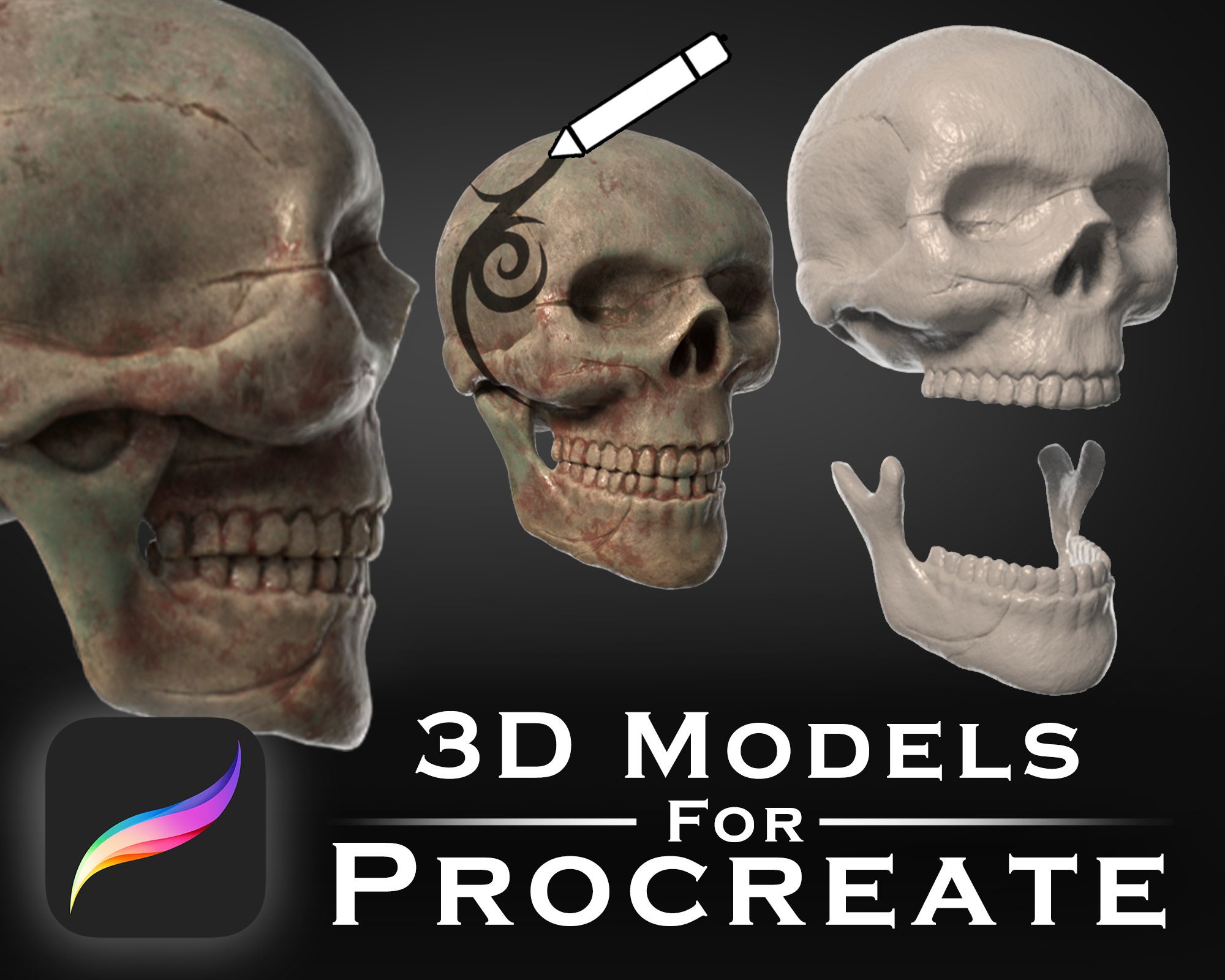 Dents humaines Modèle 3D - Télécharger Anatomie humaine on