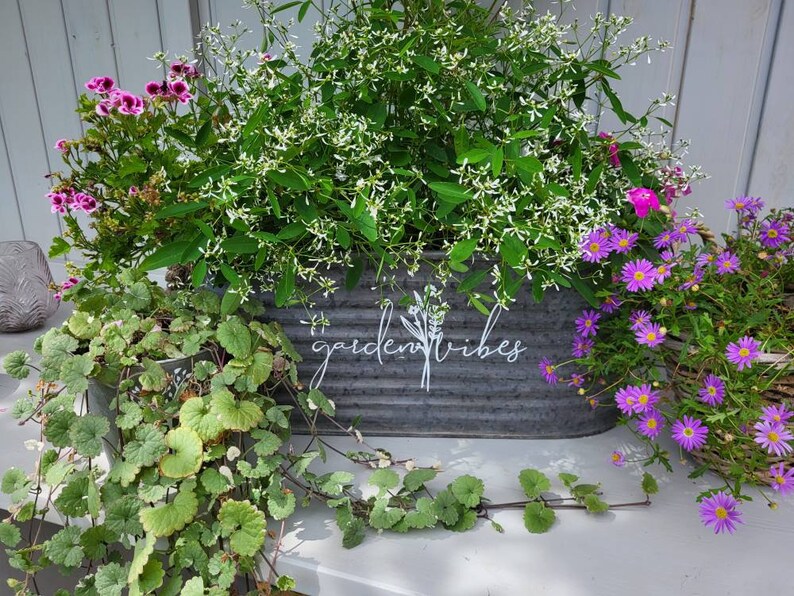 May include: A galvanised metal planter filled with various plants and flowers. The planter has the words "garden vibes" in white script. The plants include purple flowers, green foliage, and white flowering plants.