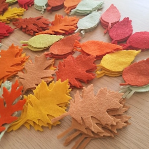 May include: A collection of die-cut felt leaves in various autumn colours including red, orange, yellow, and light green. The assortment features multiple leaf shapes, such as oak and maple, stacked in small piles across the surface area.