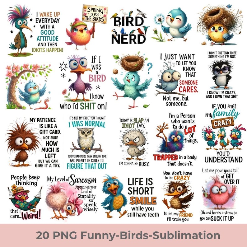 May include: A collection of 20 PNG funny bird designs with various quotes. The birds are depicted in cartoon style with bright colors and humorous expressions. Text includes phrases like "Bird Nerd", "I was a bird", and "Life is short smile".
