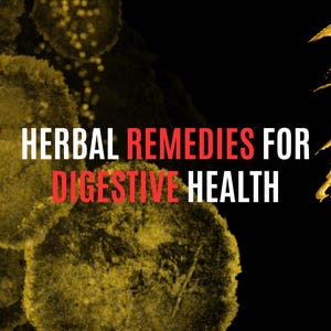 Herbal Remedies for Digestive Health: Natural Solutions for a Happy Gut