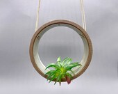 Air Plant Holder - 5-Inch Wheel-Thrown Circular Ceramic Hanging Air Plant Holder