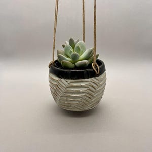 May include: A small succulent plant sits inside a round ceramic hanging planter. The planter features a glossy black rim and a white textured body with carved horizontal leaf-like patterns. It is suspended by thin tan twine cords.