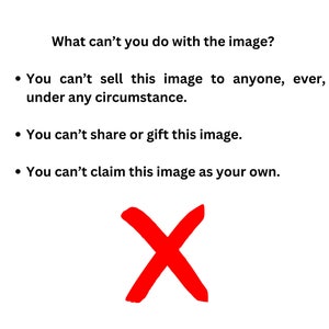 Może przedstawiać: Czerwony symbol X na białym tle z tekstem "What can't you do with the image?" nad nim. Tekst pod symbolem X brzmi: "You can't sell this image to anyone, ever, under any circumstance. You can't share or gift this image. You can't claim this image as your own."