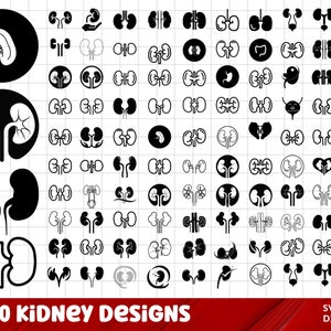 Kidney SVG Bundle, Kidney PNG Bundle, Kidney Clipart, Kidney SVG Cut Files for Cricut, Kidney Silhouette, Kidney Anatomy Svg, Disease Svg