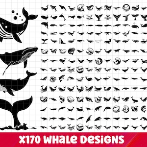 Whale SVG Bundle, Whale PNG Bundle, Whale Clipart, Whale Svg Cut Files, Whale Clipart, Whale Silhouette, Sea animals svg, Whale tail svg