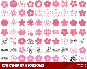 Kirschblüten, Kirschblüten Png, Sakura Blüte, Kirschblüten, Kirschblüten, Kirschblüten, Kirschblüten, Kirschblüten, Kirschblüten