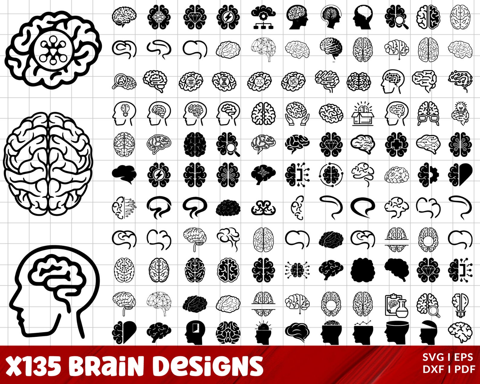 Brain SVG Bundle, Brain PNG Bundle, Brain Clipart, Brain SVG Cut Files ...