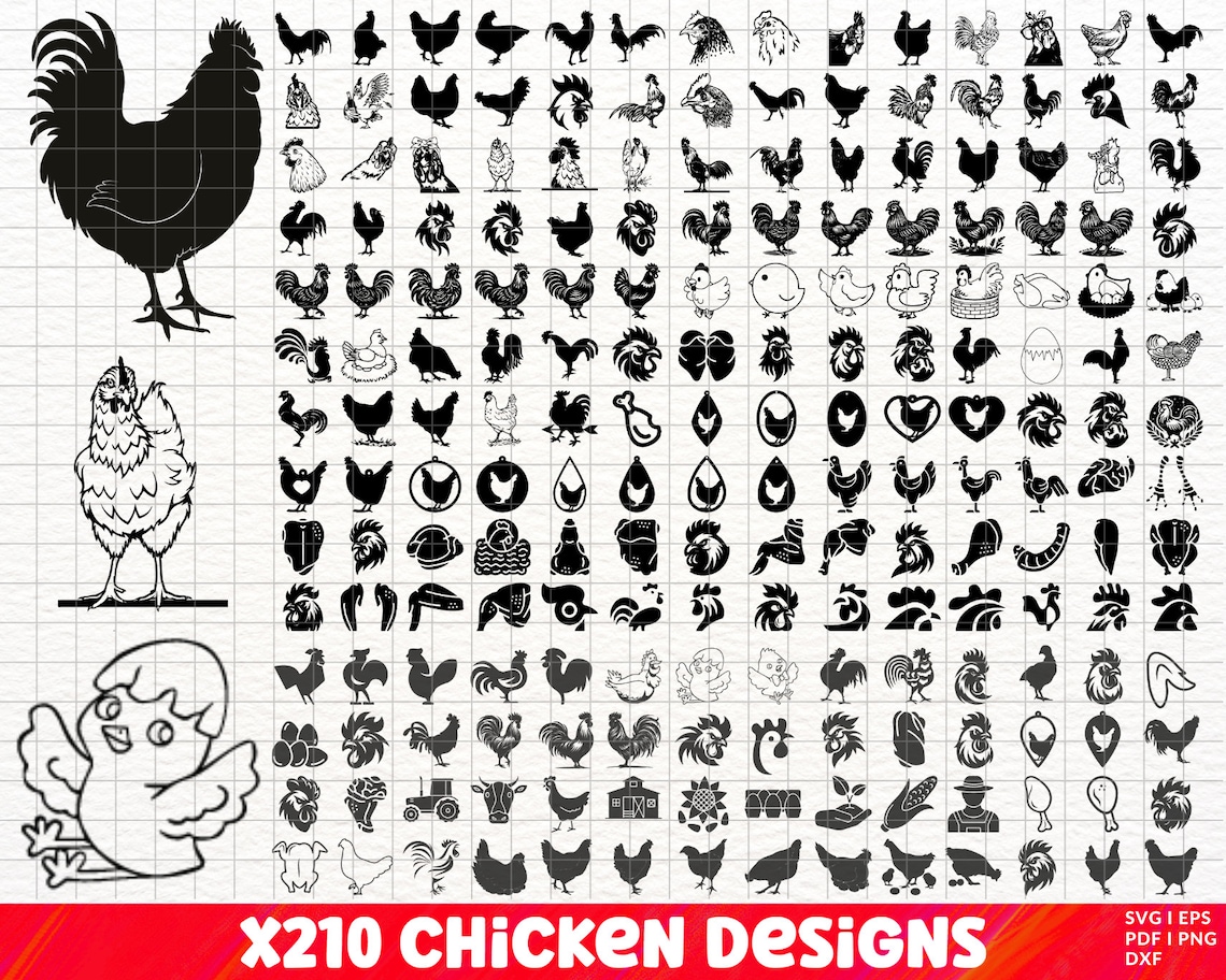 Chicken Svg SVG Bundle, Chicken PNG Bundle, Chicken Clipart, Chicken ...