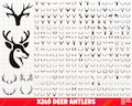 Deer Antlers SVG Bundle, Deer Antlers PNG Bundle, Deer Antlers Clipart, Antlers SVG Cut Files Cricut, Deer Svg, Deer Cut File, Deer Cricut