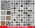 Animal Print SVG Bundle, Animal Print PNG Bundle, Animal Print Clipart, Leopard Print Svg, Cheetah Print Svg, Tiger Print Svg, Cow Print Svg product logo