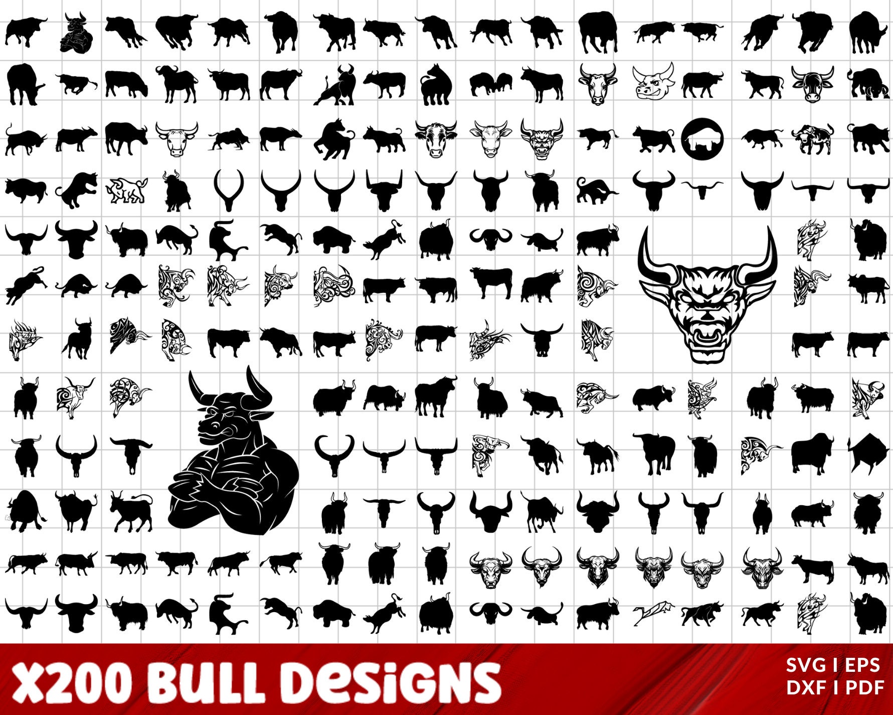 Chicago Bulls Basketball NEW Custom Designs. SVG Files, Cricut, Silhouette  Studio, Digital Cut Files, Infusible Ink