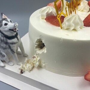 Personalized custom pets ,Pets wedding cake topper, Dog cake topper, Wedding cake topper , Pets birthday ,wedding cake topper with dog