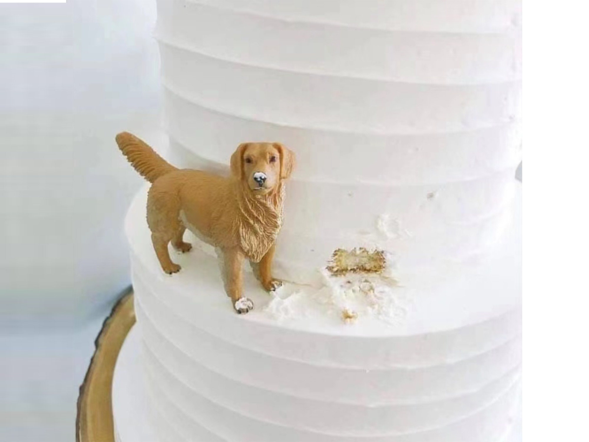 Figura pastel novios con mascota perro ❤️ Etiquetas de Recuerdo Gratis