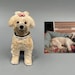 see more listings in the Dog Cake Topper section