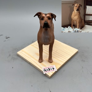 Personalized Custom Dog Wedding Cake Topper , Pet Cake Topper，Pets Birthday，Cat Cake Topper , Anniversary Pet，Dog Figurines，Dogs Birthday
